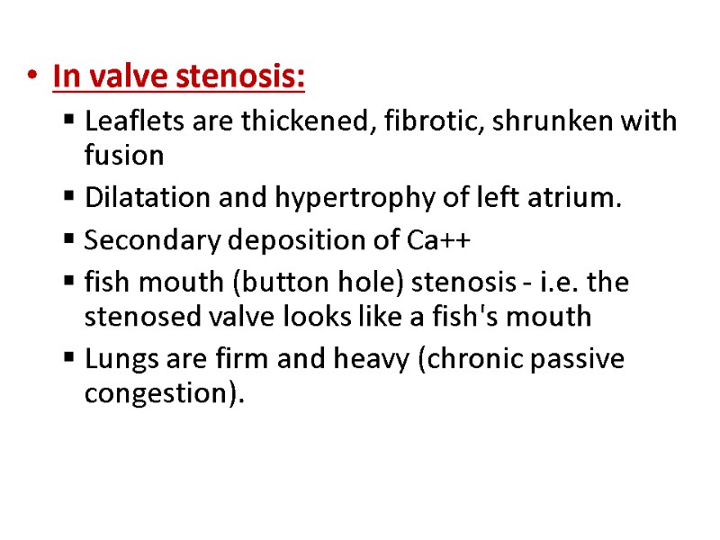 In valve stenosis: Leaflets are thickened, fibrotic, shrunken with fusion Dilatation and hypertrophy of